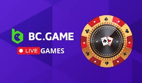 Exploring BC GAME Casino A Unique Gambling Experience